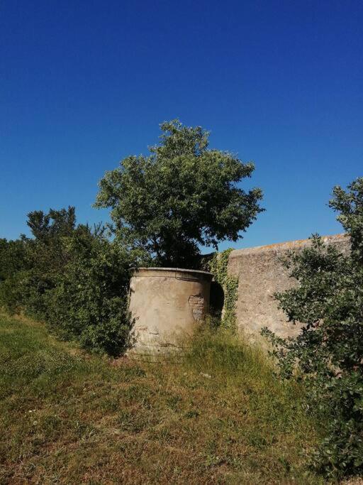 Le Soleil D Eugenie Appartement Dans Residence Avec Piscine Commune Pres De Carcassonne Olonzac Buitenkant foto