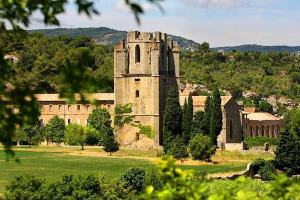 Le Soleil D Eugenie Appartement Dans Residence Avec Piscine Commune Pres De Carcassonne Olonzac Buitenkant foto