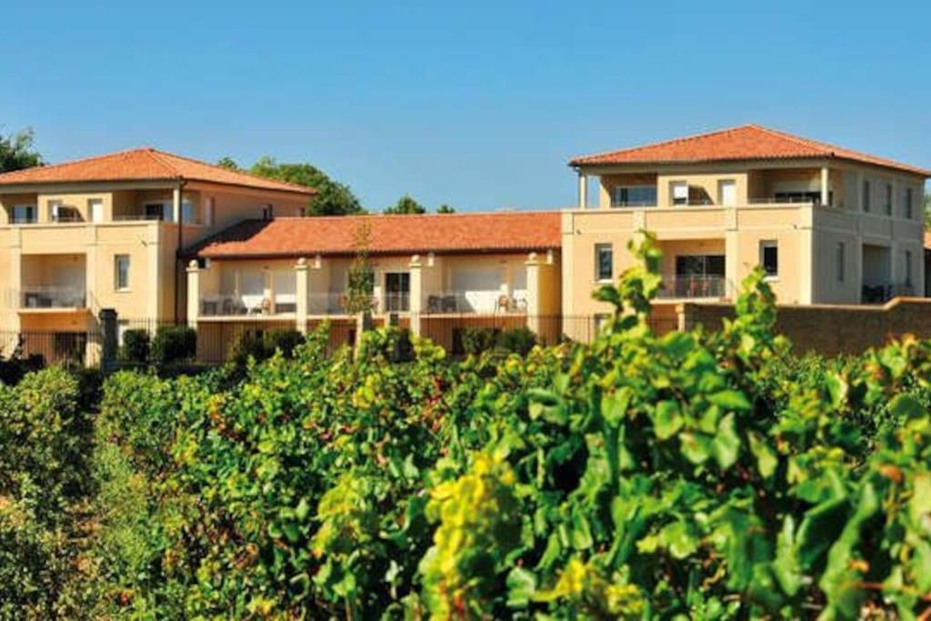 Le Soleil D Eugenie Appartement Dans Residence Avec Piscine Commune Pres De Carcassonne Olonzac Buitenkant foto