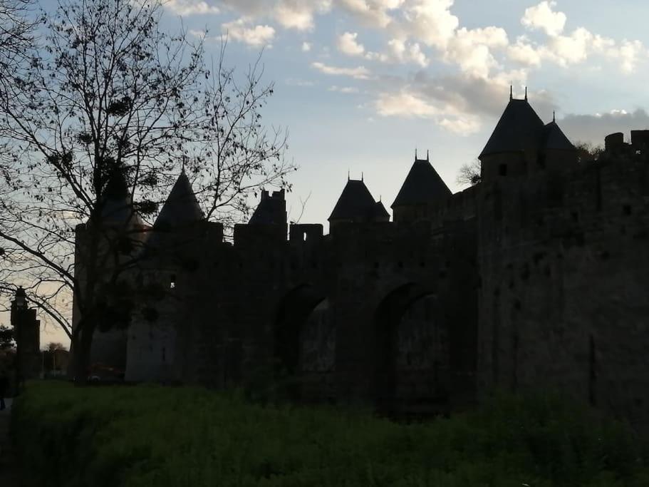 Le Soleil D Eugenie Appartement Dans Residence Avec Piscine Commune Pres De Carcassonne Olonzac Buitenkant foto