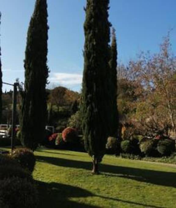 Le Soleil D Eugenie Appartement Dans Residence Avec Piscine Commune Pres De Carcassonne Olonzac Buitenkant foto