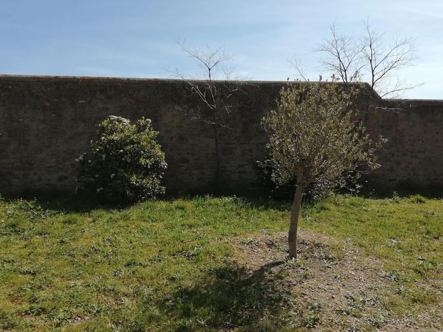 Le Soleil D Eugenie Appartement Dans Residence Avec Piscine Commune Pres De Carcassonne Olonzac Buitenkant foto